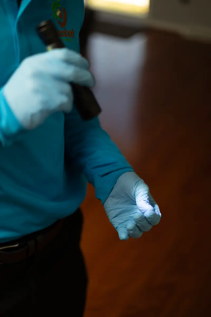 Flashlight inspection inside a home